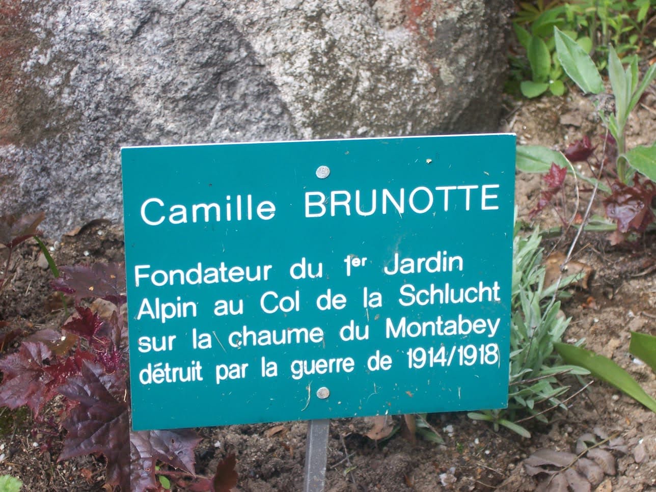 Photo n° 11 de l'avis de Christiane.e fait le 15/06/2021 à 17:16