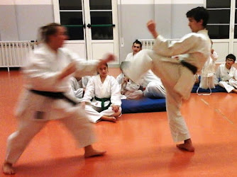 Dai Shin Do karate arti marziali Duino Aurisina - Sistiana - Santa Croce e Trieste