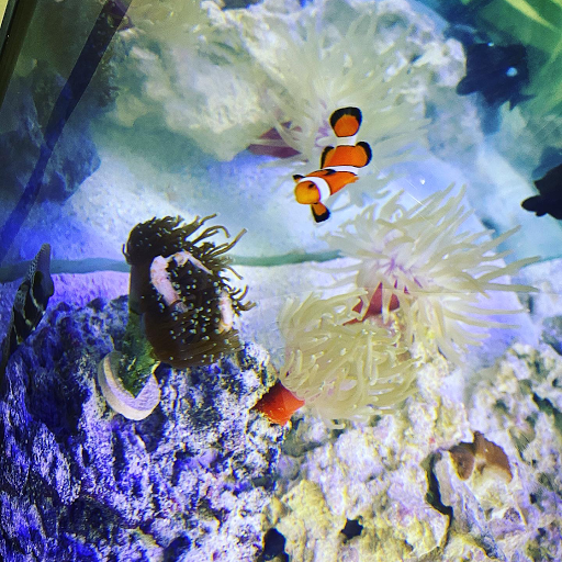 Explore taurus and scorpio tattoo ideas, creative tattoo ideas in Cary, available at Fine Art Body Piercing By Lilith Mae