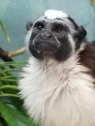 Zoo «Prospect Park Zoo», reviews and photos, 450 Flatbush Ave, Brooklyn, NY 11225, USA