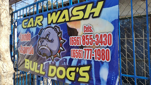 Car wash bull dog's