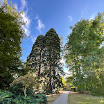 Photo n°4 de l'avis de Michael.. fait le 14/11/2021 à 07:45 sur le  DAS SCHLOSSBERG, Hotel Schlossberg in Badenweiler à Badenweiler