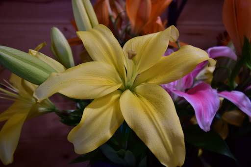Florist «Winfield Flower Shoppe», reviews and photos, 0s118 Winfield Rd, Winfield, IL 60190, USA