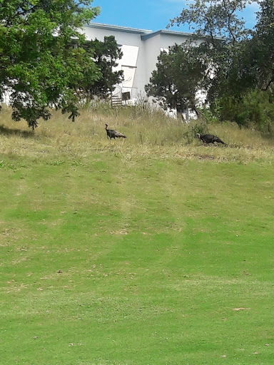 Golf Course «Cedar Creek Golf Course», reviews and photos, 8250 Vista Colina, San Antonio, TX 78255, USA
