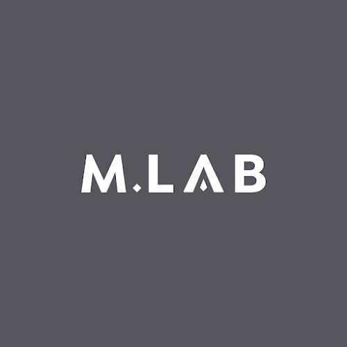 Reviews of M.LAB (The Marketing Lab) in Wanaka - Advertising agency