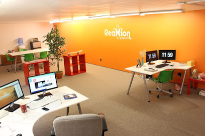 Reaxion Graphics