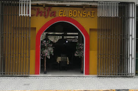 Chifa El Bonsai