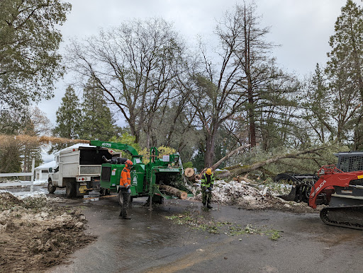 YFR Tree & Land Management image