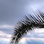 Photo n°18 de l'avis de C..i fait le 17/09/2023 à 21:44 sur le  Hotel San Pietro à Limone Sul Garda