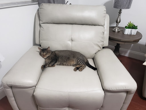 Pet Supply Store «Pet Supplies Plus», reviews and photos, 4923 Sheridan St, Hollywood, FL 33021, USA