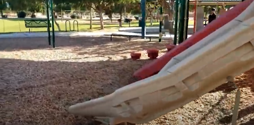 Park «Pinelake Park», reviews and photos, 598 E Crescent Way, Chandler, AZ 85249, USA