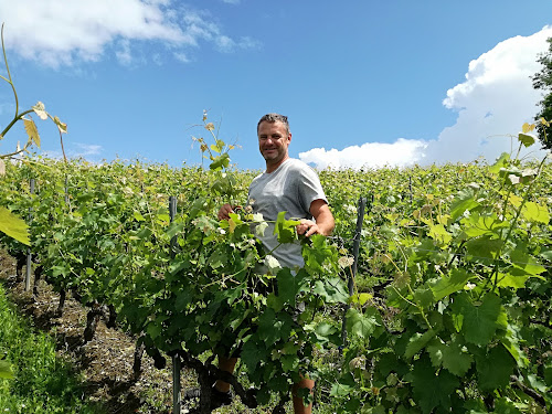 Domaine Saint Cassin à Desingy