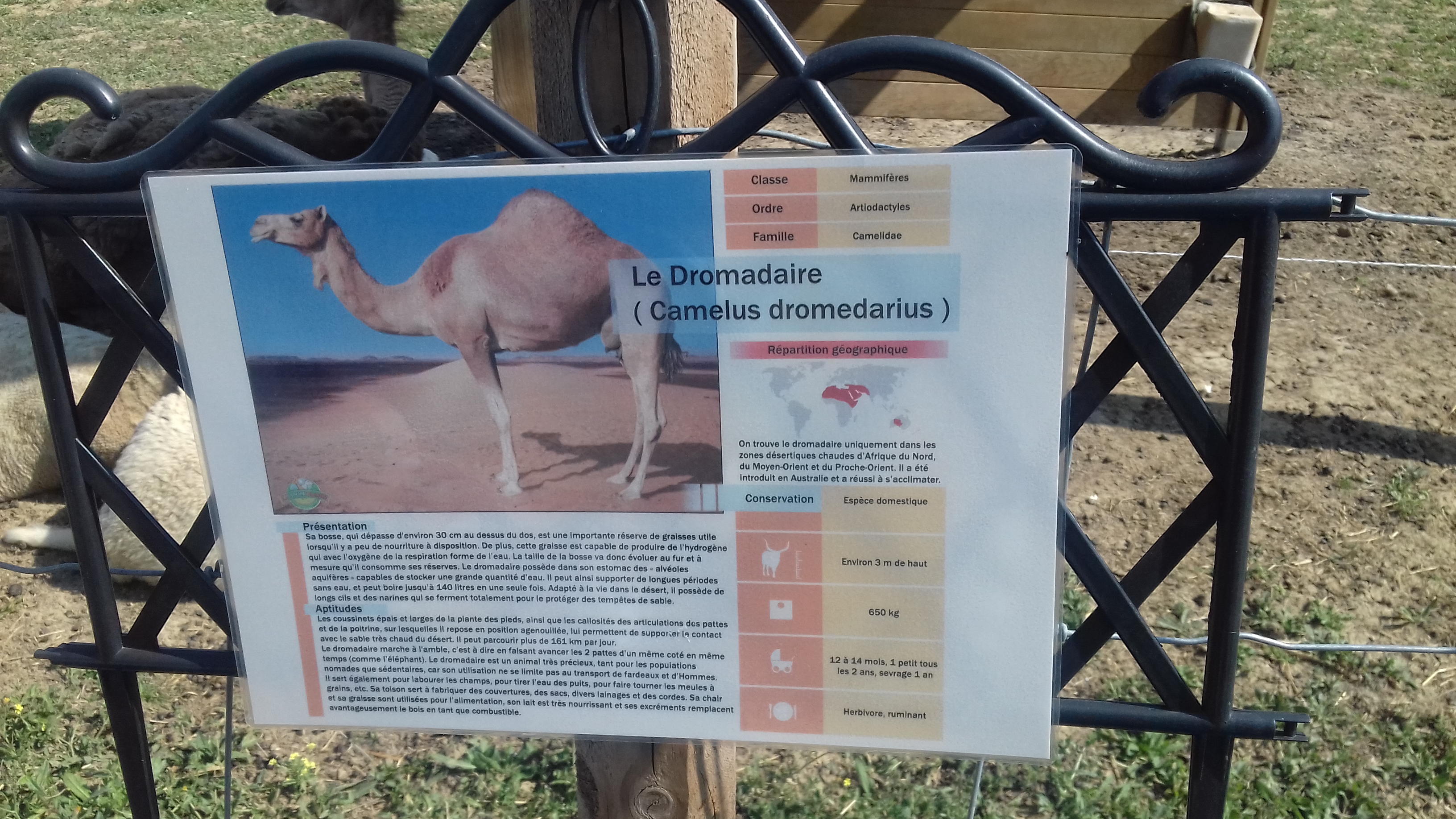 Photo n° 37 de l'avis de Laurent.o fait le 20/08/2018 à 10:25