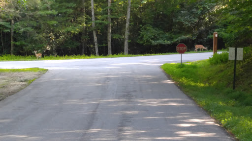 Joe Chapman Roofing Inc in Pisgah Forest, North Carolina