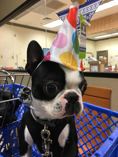 Pet Supply Store «PetSmart», reviews and photos, 19 Clifton Country Rd, Clifton Park, NY 12065, USA