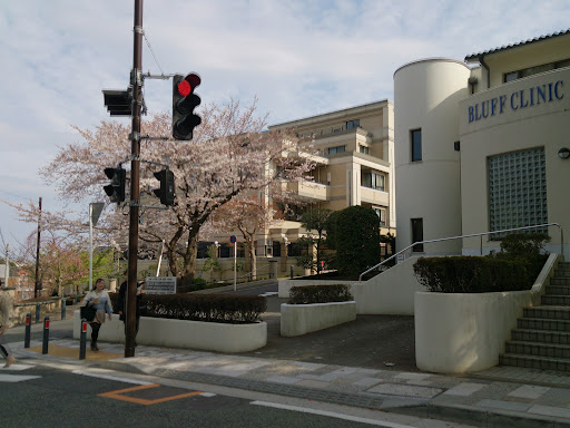 The Bluff Medical & Dental Clinic