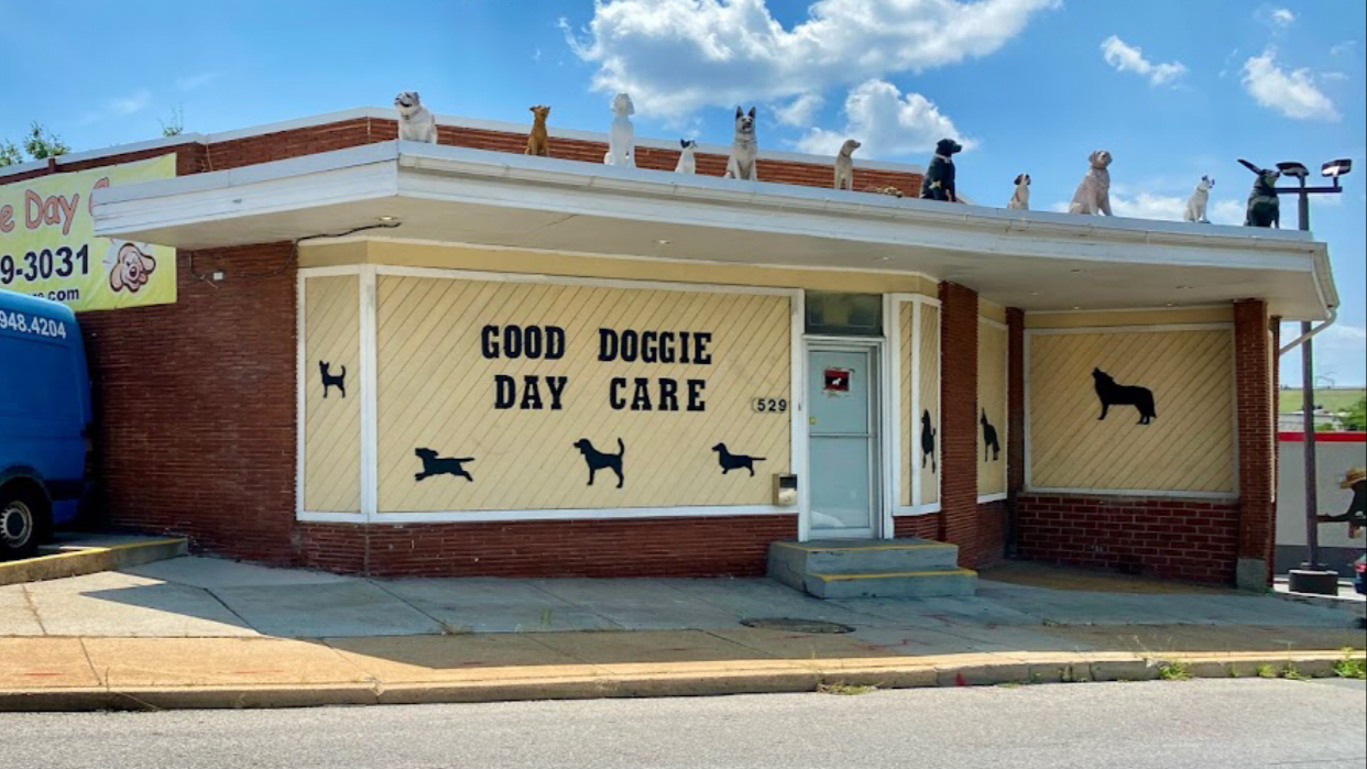 Good Doggie Day Care Inc