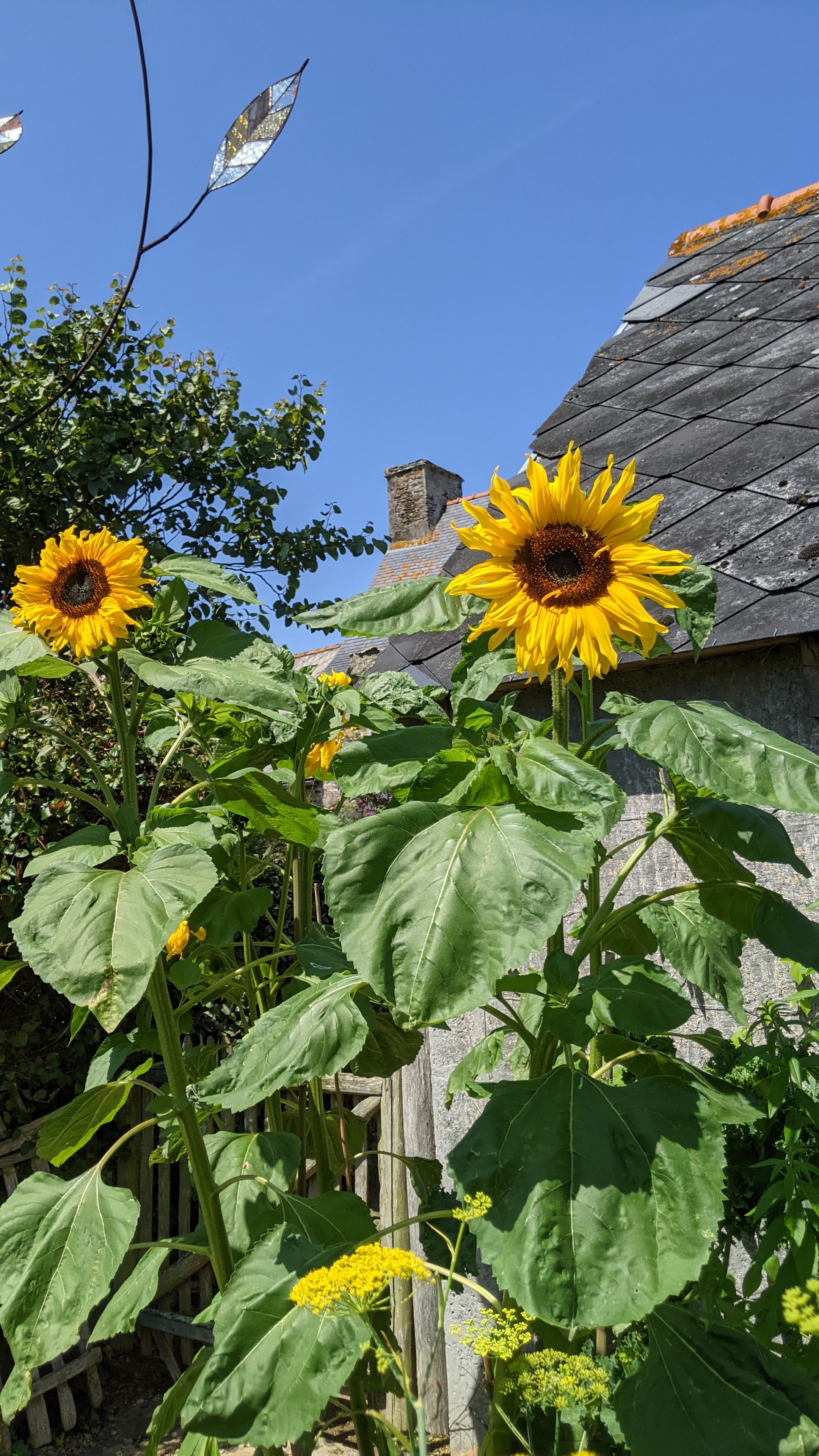 Photo n° 3 de l'avis de Jean.a fait le 21/07/2021 à 14:25