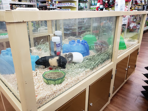 Pet Store «Pet Supermarket», reviews and photos, 9798 Glades Rd, Boca Raton, FL 33434, USA