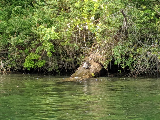 Park «Luther Burbank Park», reviews and photos, 2040 84th Ave SE, Mercer Island, WA 98040, USA