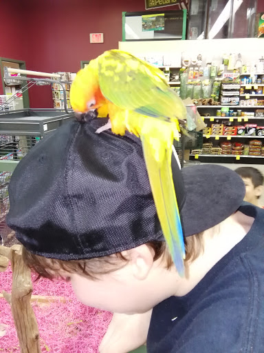 Pet Store «Petland Montgomery», reviews and photos, 7127 Eastchase Pkwy, Montgomery, AL 36117, USA