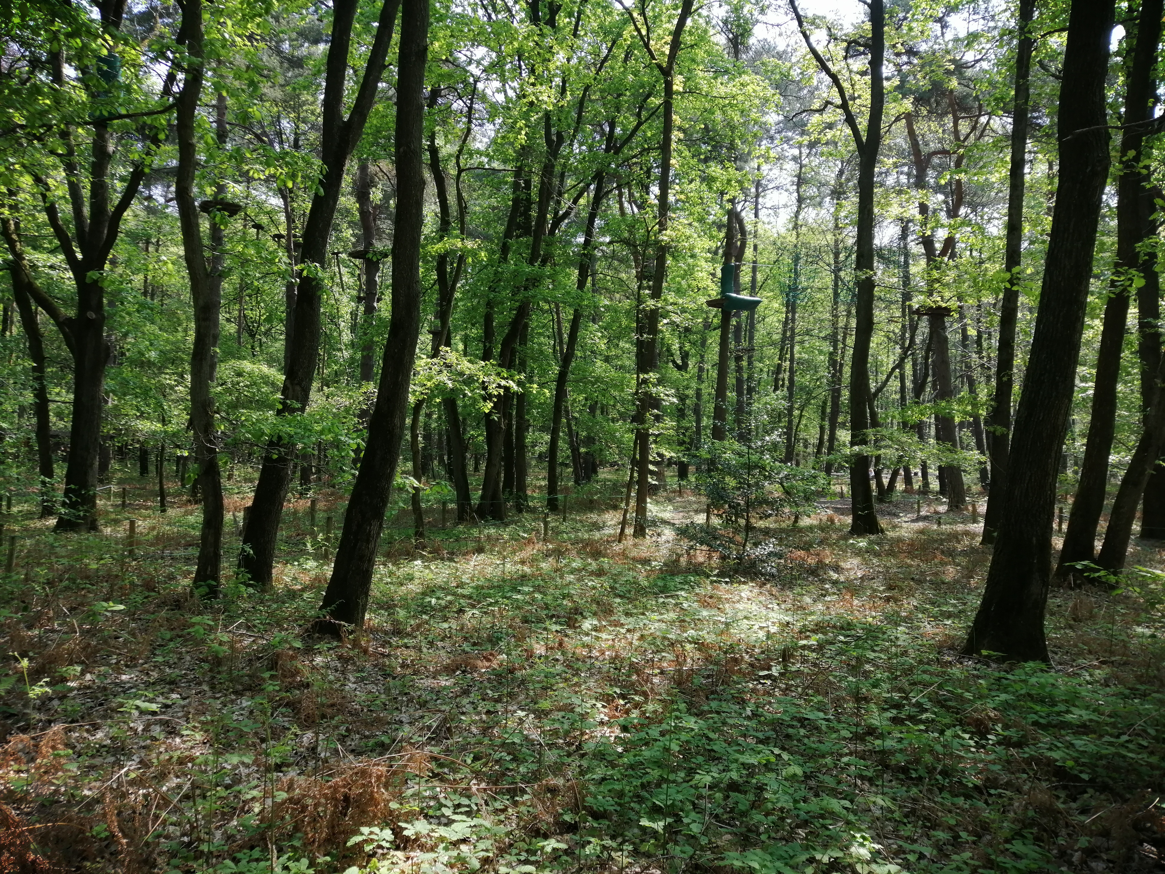 Photo n° 3 de l'avis de Ed. fait le 30/04/2019 à 16:15