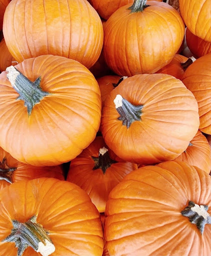 Day Spa «mySpa», reviews and photos, 100 Chopin Plaza, Miami, FL 33131, USA