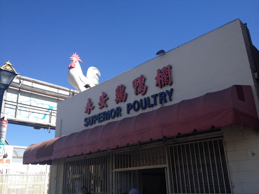 Superior Poultry