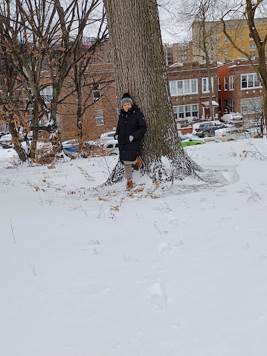 Park «Claremont Park», reviews and photos, Clay Ave & E. 170 St, Bronx, NY 10457, USA