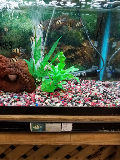 Garden Center «A W Brown Pet & Garden», reviews and photos, 144 Shaker Rd, East Longmeadow, MA 01028, USA