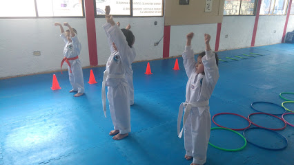In Nae Tae Kwon Do
