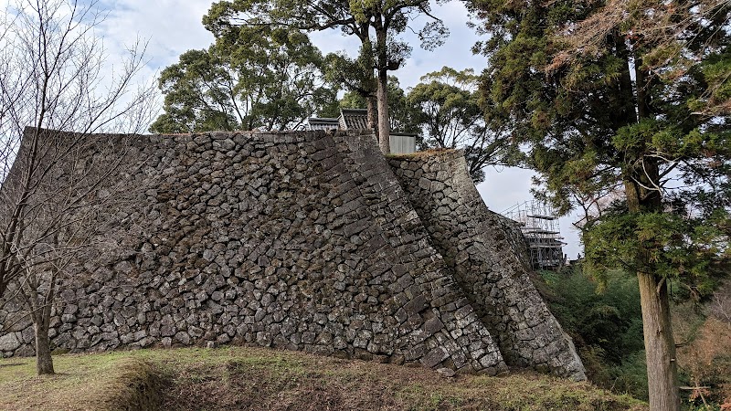 岡城二重の石垣