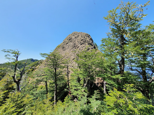 Futrono, Los Ríos, Chile