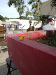 Photo n°47 de La Paillote à Paris ()