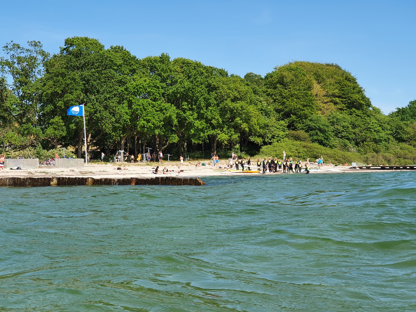 Φωτογραφία του Den Sorte Beach άγρια περιοχή