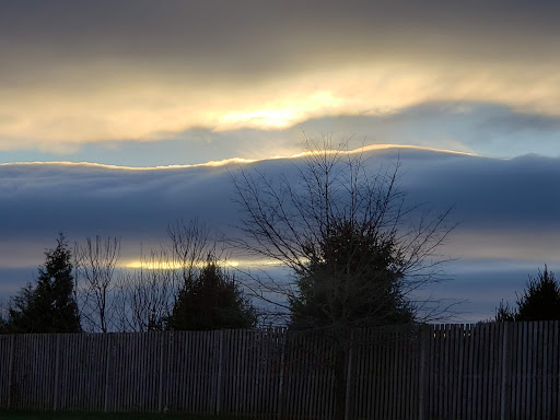 Department Store «Walmart Supercenter», reviews and photos, 1800 Tilden Ridge Dr, Hamburg, PA 19526, USA