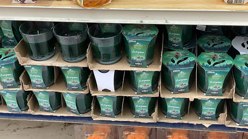 Dollar Store «King Dollar», reviews and photos, 2555 Gessner Rd, Houston, TX 77080, USA