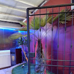 Photo n°6 de l'avis de Offar.o fait le 27/06/2019 à 21:56 sur le  DON PEPPINO 'A PIZZA- RISTORANTE à Molinetto