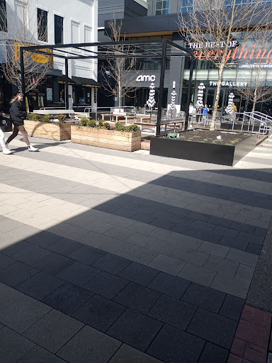 Ice Cream Shop «Cold Stone Creamery», reviews and photos, 1 Levee Way #2104, Newport, KY 41071, USA