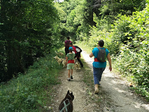 Photo n°11 de Les Attelages de la Roche Percée à Pierrefontaine-les-Varans ()