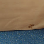 Photo n°1 de l'avis de Angela. fait le 05/12/2023 à 14:36 sur le  IFA Fehmarn Hotel & Ferien-Centrum à Fehmarn