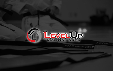 Level Up Martial Arts image