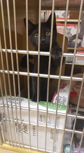 Pet Supply Store «PetSmart», reviews and photos, 5857 NJ-42, Turnersville, NJ 08012, USA