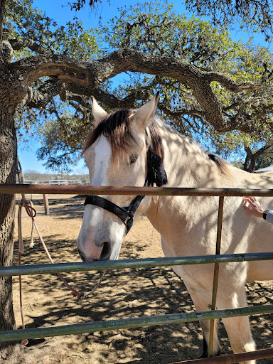 Pony Ride Service «The Farmyard», reviews and photos, 30250 Leroy Scheel Rd, Bulverde, TX 78163, USA