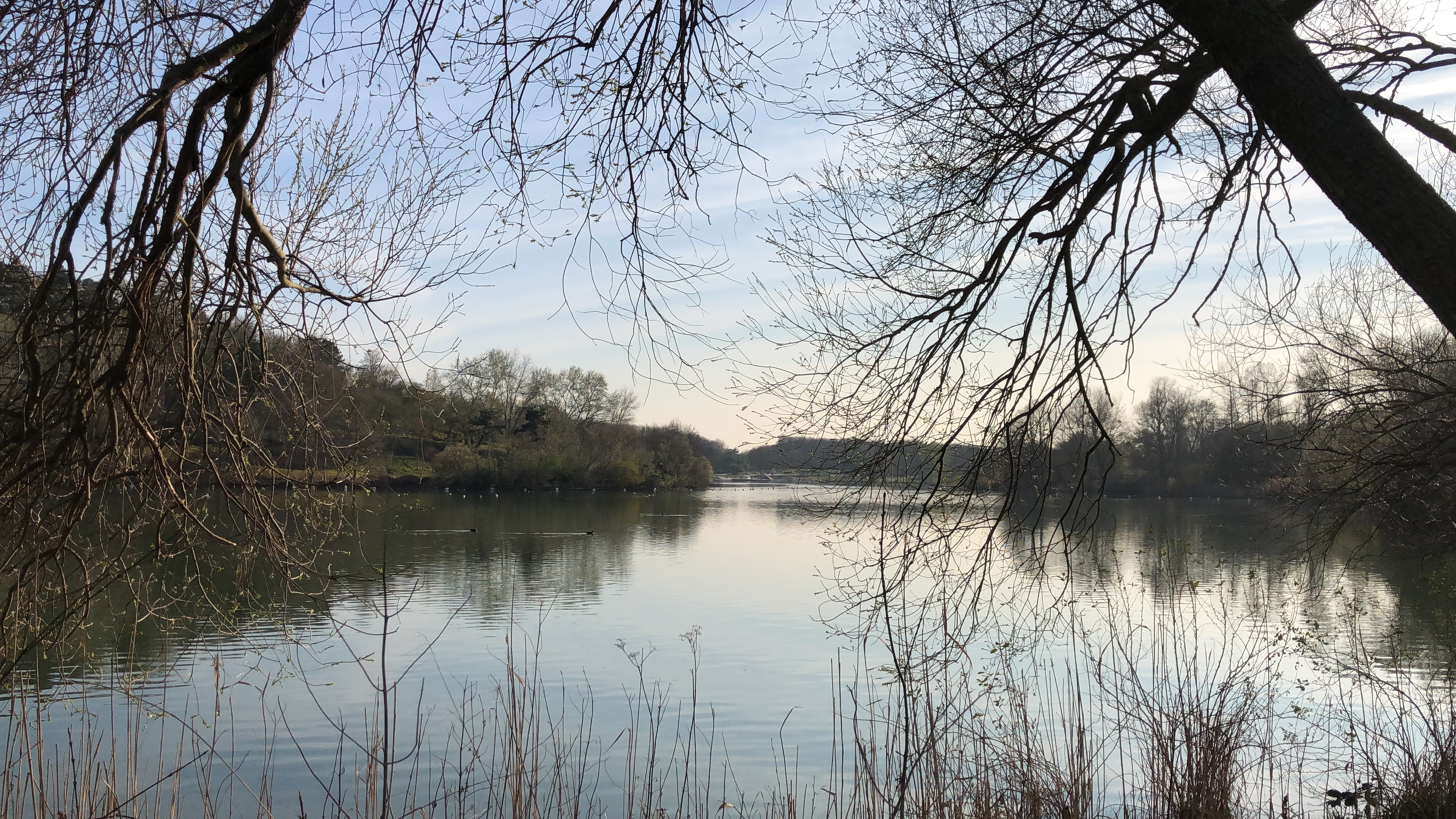Photo n° 9 de l'avis de Anonyme. fait le 28/10/2020 à 19:58