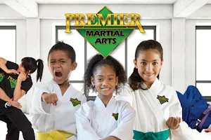 Premier Martial Arts Schertz image