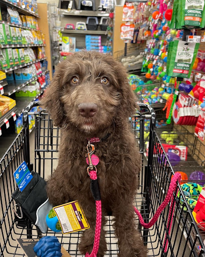Pet Supply Store «Pet Supplies Plus», reviews and photos, 7236 Fishers Crossing Dr, Fishers, IN 46038, USA