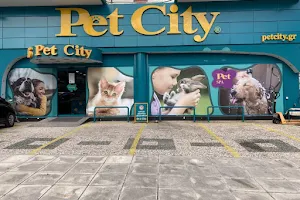 Pet City Πετρούπολη image