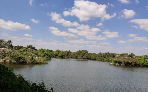 Bird Viewing Point Ranganathittu image