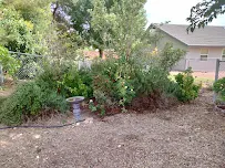 Wally Zafari, Realtor - Car repair in Riverside, CA, Riverside - Rated 5.0/5